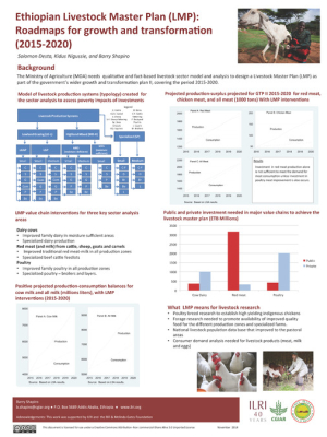 ethiopianLMP.pdf.jpg