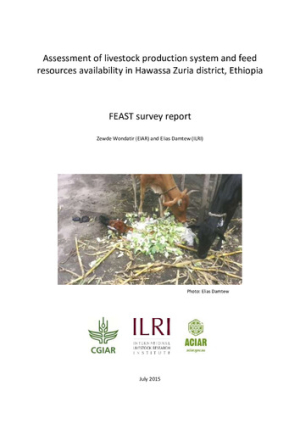 feast_awassa_zuria_jul2015.pdf.jpg