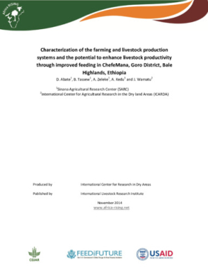 feast_ethiopia_Chefe_Mana_nov2014.pdf.jpg