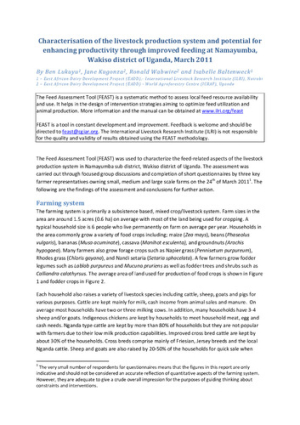 feast_uganda_dbbusu_mar2011.pdf.jpg