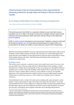 feast_uganda_mityana_apr2012.pdf.jpg