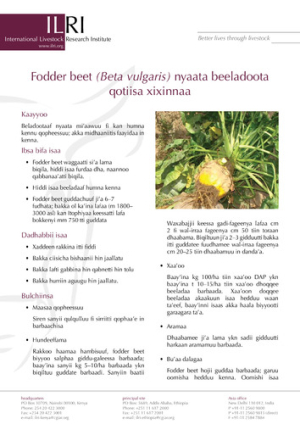 fodderoromifa.pdf.jpg