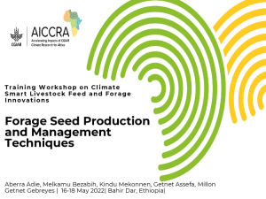 forage_seed_production_2022.pdf.jpg