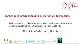 forage_seed_production_2024.pdf.jpg