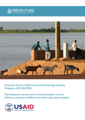 ftf-mali-animal-health.pdf.jpg