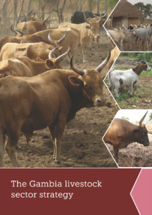 gambia_livestock_strategy.pdf.jpg