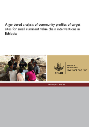 gender_ethiopia_pr.pdf.jpg