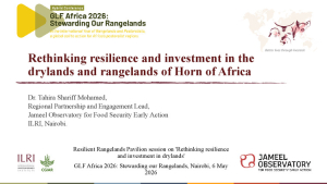 glf_rethinking_resilience_Tahira.pdf.jpg glf_rethinking_resilience_Tahira.pdf.jpg