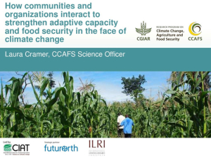 how-communities-and-organizations-interact-to-strengthen-adaptive-capacity-and-food-security-in-the-face-of-climate-change.pdf.jpg