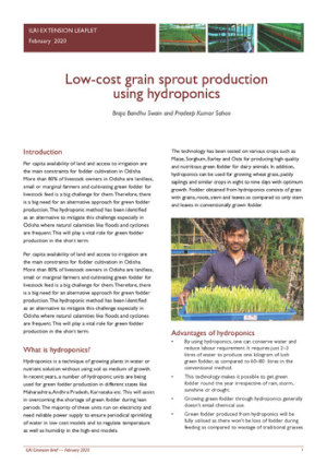 hydroponics.pdf.jpg