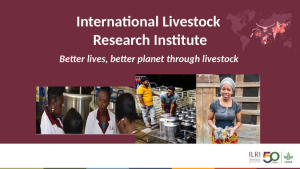ilri_corporate_strategy_and_research_and_innovation_strategy.pdf.jpg