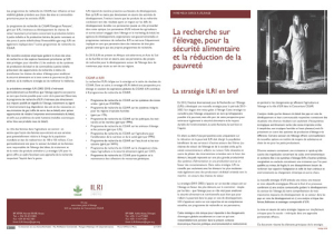 ilristrategy_summaryFrench.pdf.jpg