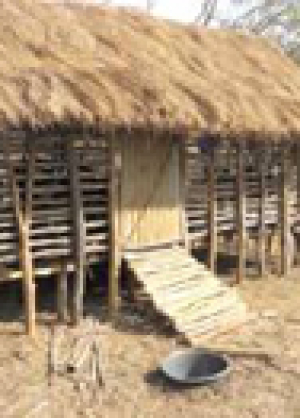 imGoats_Mozambique.jpg