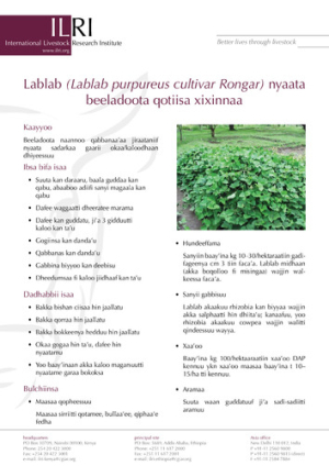 lablaboromifa.pdf.jpg