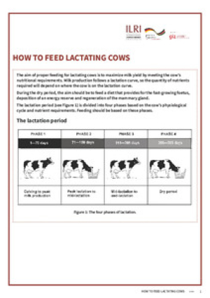 lactation_cows.pdf.jpg