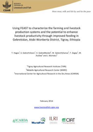 lf_feast_gebrekidan_feb2014.pdf.jpg
