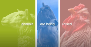 livestockInnovations.JPG