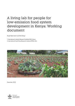 living_lab4people_low-emissionFoodSystem.pdf.jpg
