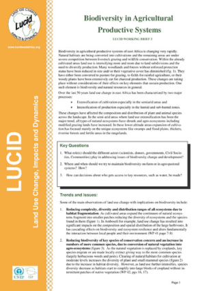 lucid_brief3.pdf.jpg