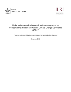 media_auditCOP27.pdf.jpg