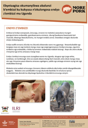 more_pork_luganda.pdf.jpg