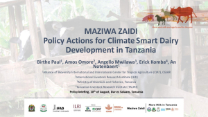 mz_climatesmartdairy_policybriefing.pdf.jpg