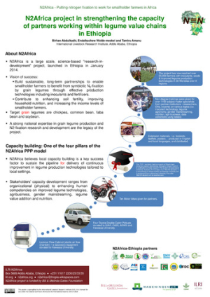 n2africa_capdev_poster_mar2016.pdf.jpg
