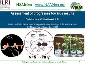 n2africa_endalkachew_2017.pdf.jpg