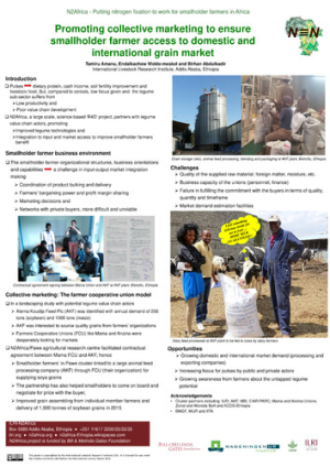 n2africa_market_poster_mar2016.pdf.jpg