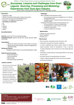 n2africa_poster_engidu_Mar2017.pdf.jpg