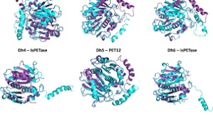 npj Biofilms Microbiomes.png