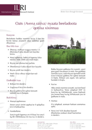 oatsoromifa.pdf.jpg