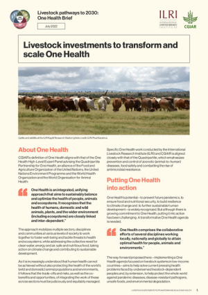 oneHealth_brief.pdf.jpg
