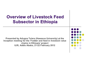 overview-of-livestock-feed-supply-in-ethiopia-1-728.jpg