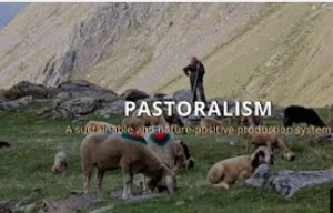 pastoralism.JPG