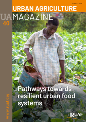 pathways-towards-resilient-urb.pdf.jpg