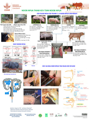 pig_breeding_poster_hm.pdf.jpg