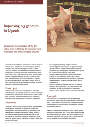 pig_genetics_pp.pdf.jpg