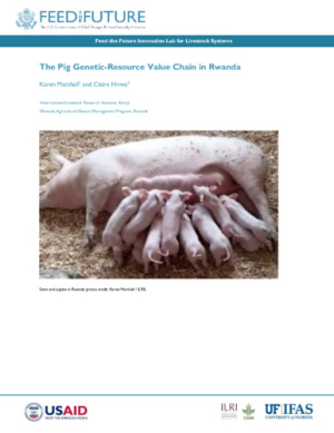 pig_value chain_rwanda.pdf.jpg