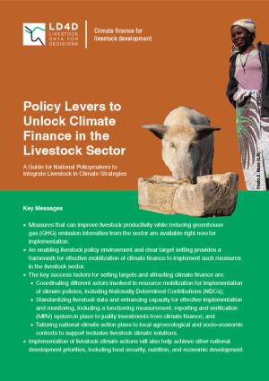 policy-levers-to-unlock-climate-finance.pdf.jpg