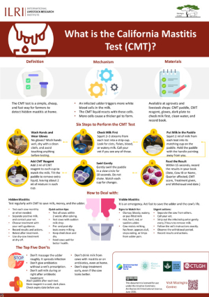 poster_CMT test_26june2026.pdf.jpg poster_CMT test_26june2026.pdf.jpg
