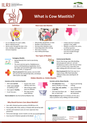 poster_what is cow mastitis_26june2026.pdf.jpg