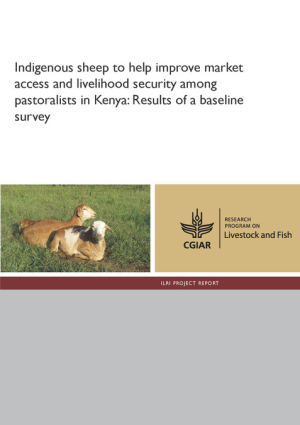 pr_sheep_kenya.pdf.jpg