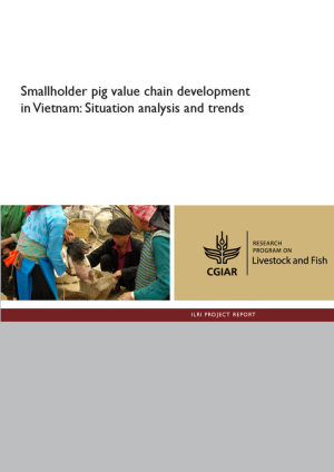 pr_situation_analysis_vietnam_web.pdf.jpg