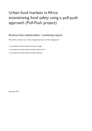 pushPull_Stakeholders.pdf.jpg