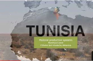 rangelandTunisia.JPG