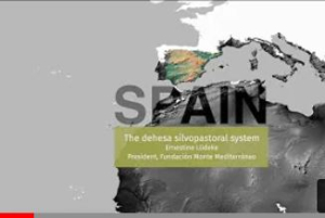 rangleandSpain.JPG