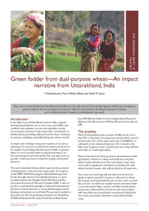 researchBriefGreenFodderIndia.pdf.jpg