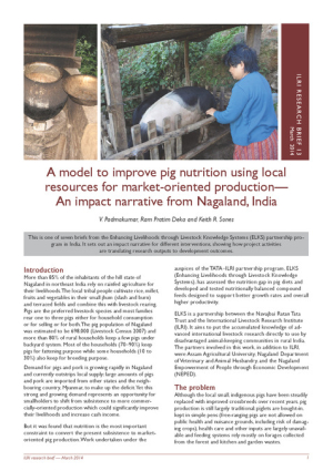researchBriefPigfFedingIndia.pdf.jpg