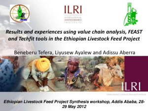 results-and-experiences-using-value-chain-analysis-feast-and-techfit-tools-in-the-ethiopian-livestock-feed-project-1-728.jpg